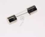 Glass T. Fuse 5x20mm Time Lag - C00311937 481925228125 Fuse T10a [Whirlpool Indesit]