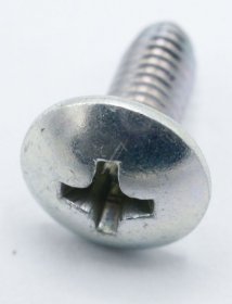 Euna Screw - Large Flat Heard Screw