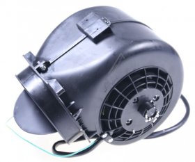 Aeolus Hood Motors - Motor Assembly